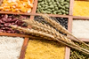 Lentils