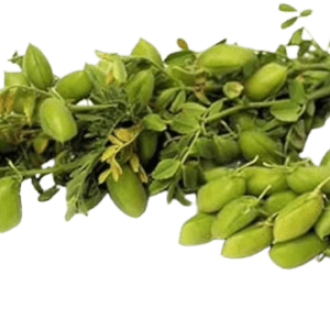 Fresh Choliya ( 1 Ghuti )