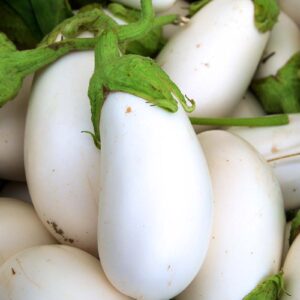 White Egg Plant ( White Bengan )