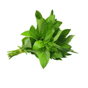 Mint ( Podina ) 1 Ghuti
