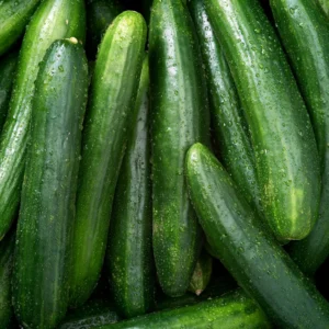 Cucumber ( Khera )