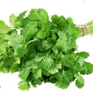 Green Coriander ( Dhaniya )