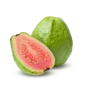 Guava ( Amrod )