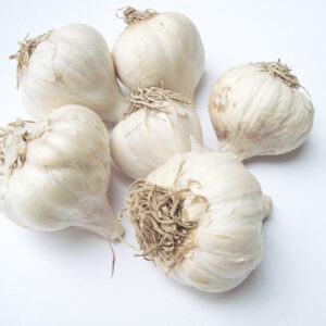 Garlic ( Lehson )