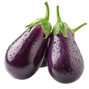 Egg Plant ( Bengan )