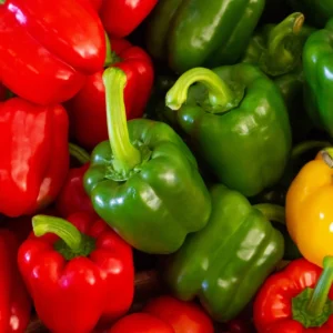 Shimla Mirch ( Capsicum )