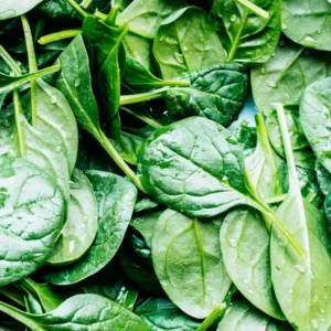 Spinach ( Palak )
