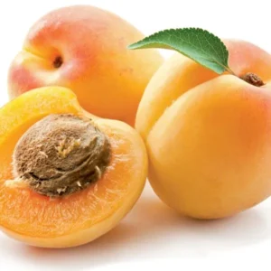 KHOBANI ( APRICOTE)