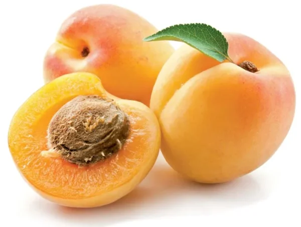 KHOBANI ( APRICOTE)