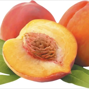 PEACH ( ARO )
